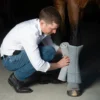 Incrediwear Equine vatnikud