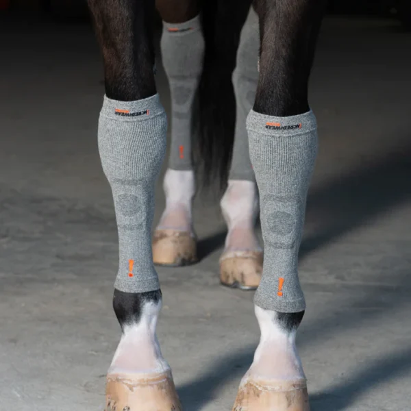Incrediwear Equine tsirkulatsiooni kabjasokid