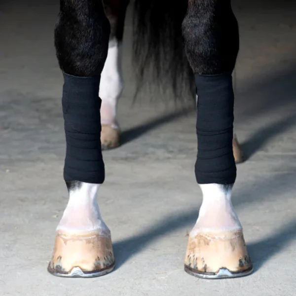 Incrediwear Equine vereringet parandav elastikside