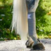 Incrediwear Equine vereringet parandav elastikside